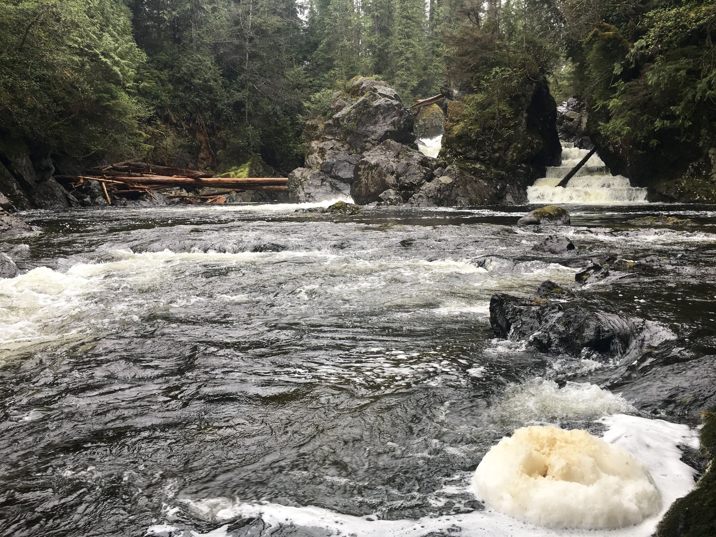 Salomon ladders just upstream of Salomon beach, Vancouver, BC Photo: Zach Husted