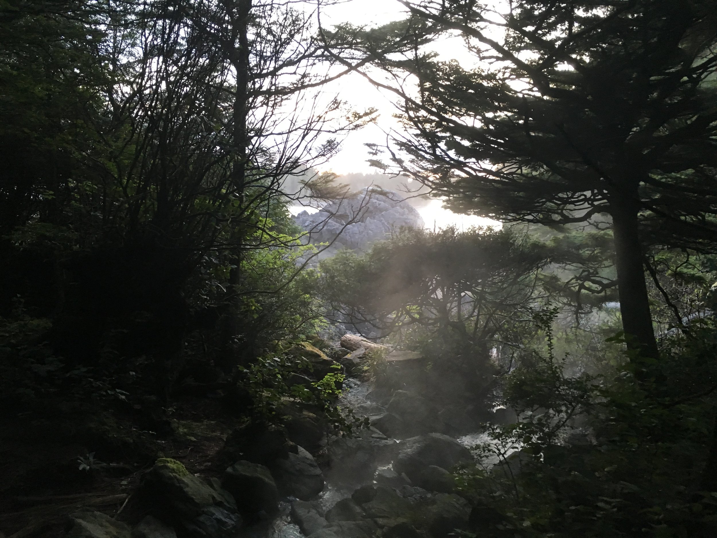 Hot Springs Cove Photo: Zach Husted