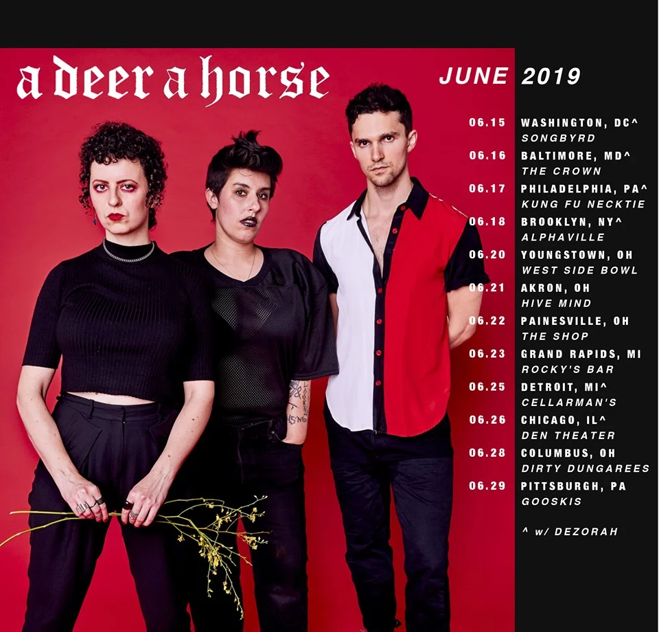 adeerahorsetourdates.jpg