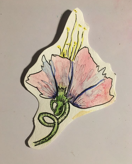 Flora Study I