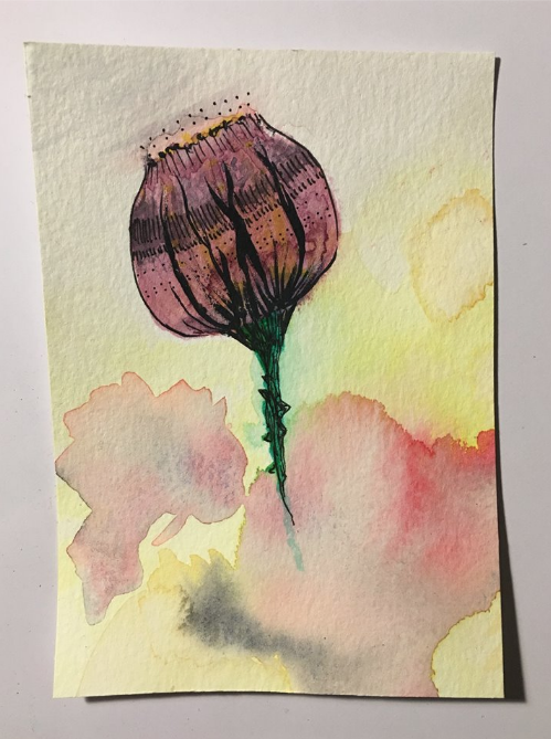 Flora Study II