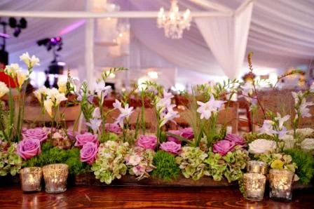 flower-shot-with-chandeliers-in-back.jpg