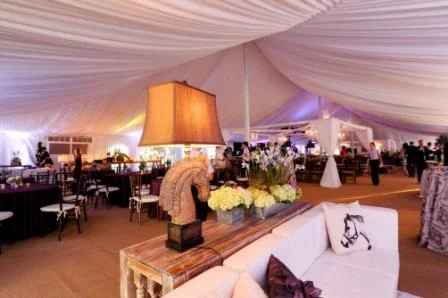 tent-shot-2.jpg