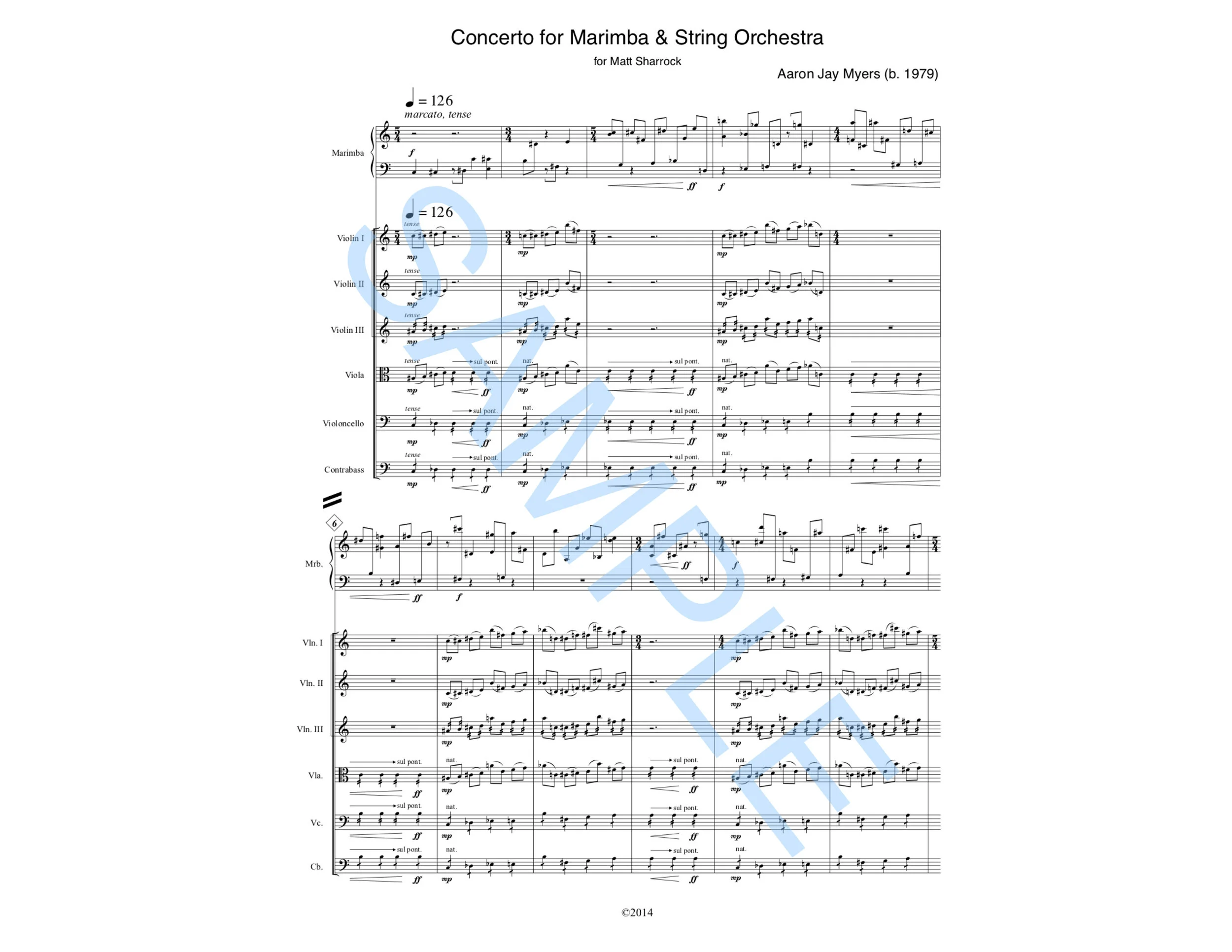 SAMPLES 2 - Concerto For Marimba and String Orchestra.jpg