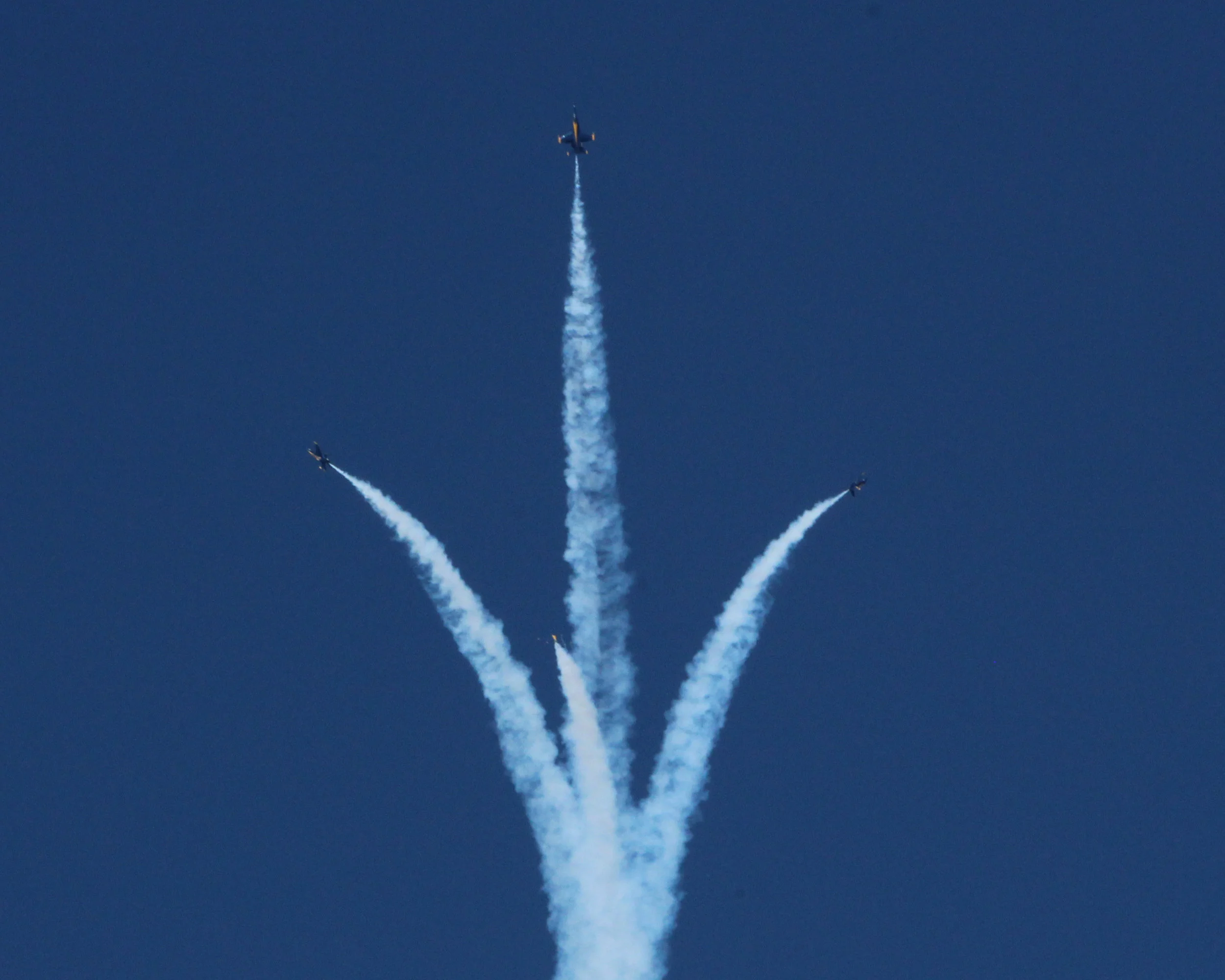 vertical split.jpg