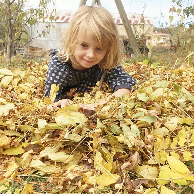 It’s Autumn, all golden hues, pink skies, storms and Sun. Poppy made a nest and I’ve been reflecting on how being a parent is such an honour and a responsibility beyond a single generation . For years I been trying to decide philosophically, just how to raise my daughters. How to raise them when we as a culture have severed the past... rejected the norms of our great great grandparents and float on a sea of post modernism no land in sight. I pray that they understand how precious they are, how treasured by God, and how the postmodern secular mores I followed did me no favours... showed me no kindness, perhaps it’s time to reboot - rethink foundations.
Some of us are born seekers and I’ve quested... holy grail style for God my whole life, predominantly Eastern philosophy, meditation, the occult, the New Age... and on a non physical level it resulted in my complete enslavement. On a practical level, it promoted horrific narcissism. When I asked my friend how she knew... how she knew that the energy we had received for years was not God’s love. She told me clear as day, “the Bible says God’s Grace makes us Grounded”...
⠀⠀⠀⠀⠀⠀⠀⠀⠀
That challenged me to the core , “Claire, you’ve looked everywhere and read every spiritual text and followed a Gurus who had no credentials other than self proclaimed “enlightenment “ and energetic powers... and Maria figures out the key issue through reading a 2000+ year old sacred text. I’m rethinking foundations.