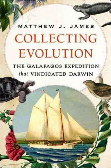 STEAM Cafe: Collecting Evolution