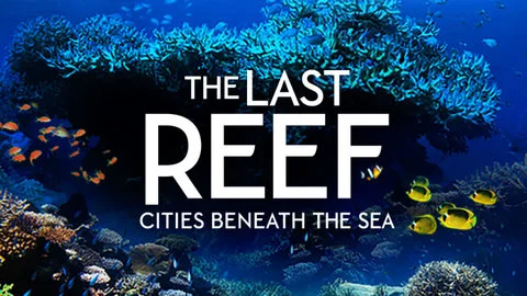 SPARQ Theatre & Planetarium: The Last Reef