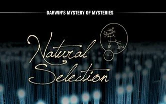 SPARQ Digital Theater - Natural Selection
