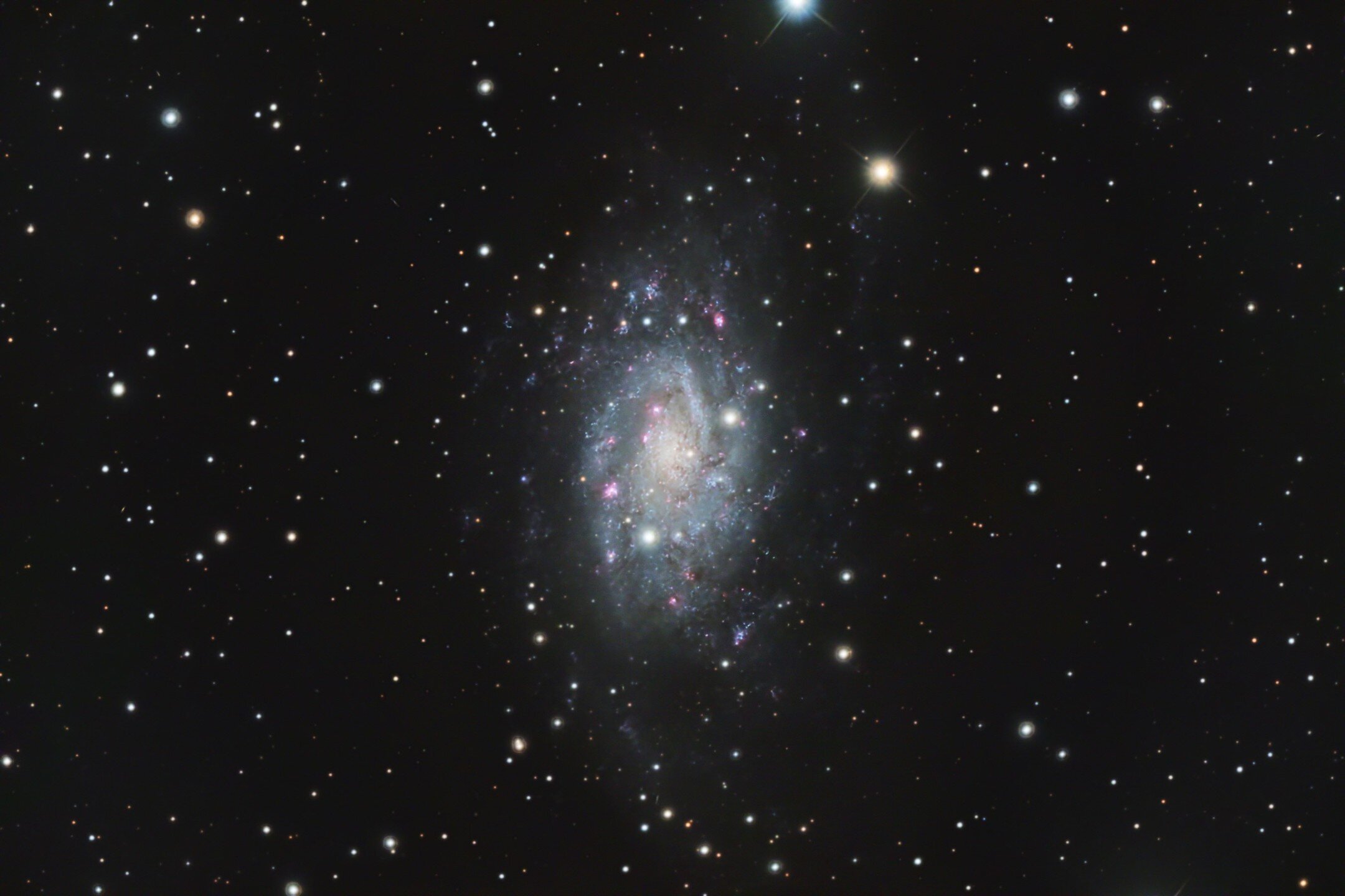 SPARQ is excited to share this recent astro photograph of the NGC2403 galaxy by Piner Junior and STEM Level 3 student, Emma Cho. 

From Emma: &ldquo;For this image, I focused on an intermediate spiral galaxy in the constellation Camelopardalis called