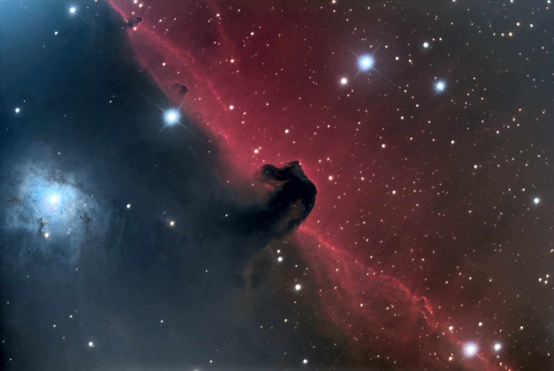 SPARQ is excited to share this recent astro photograph of the Horsehead Nebula by Piner Junior and STEM Level 3 student, Scarlett Oliva.

From Scarlett: &ldquo;The star that I choose to be my subject is a horsehead nebula. A nebula is a giant cloud o