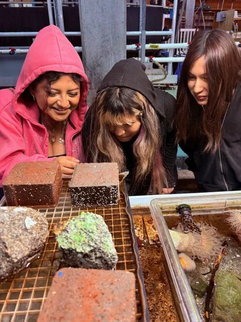 2026-4-2 Bodega Bay Marine Lab (11).jpeg