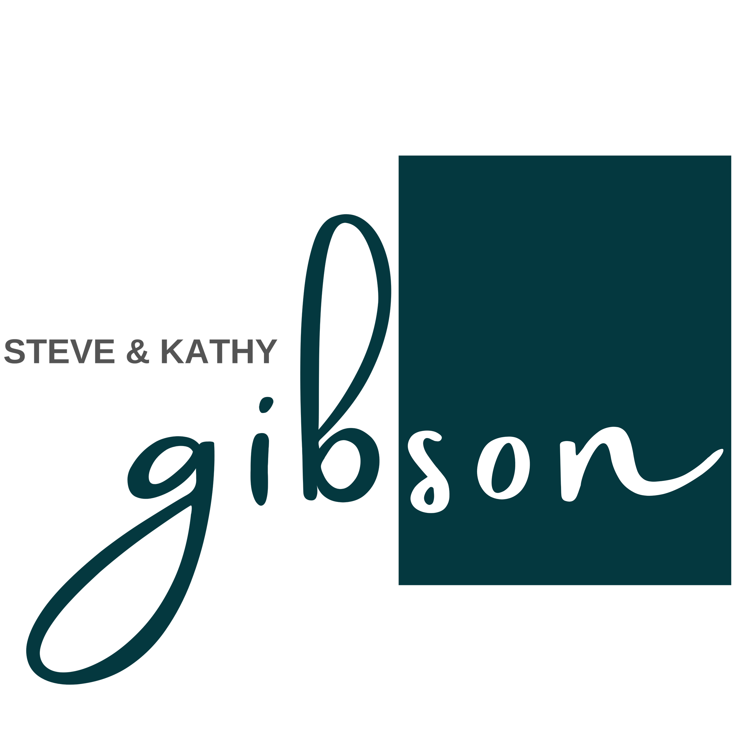 Gibson.png