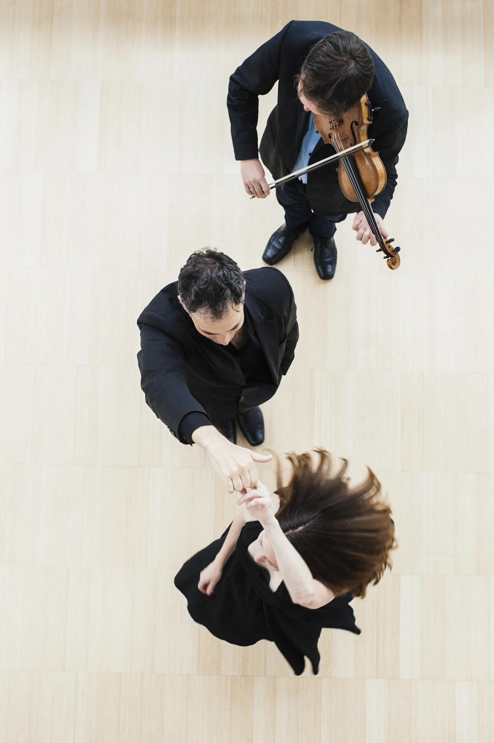 Firebird Trio from above 2.jpg