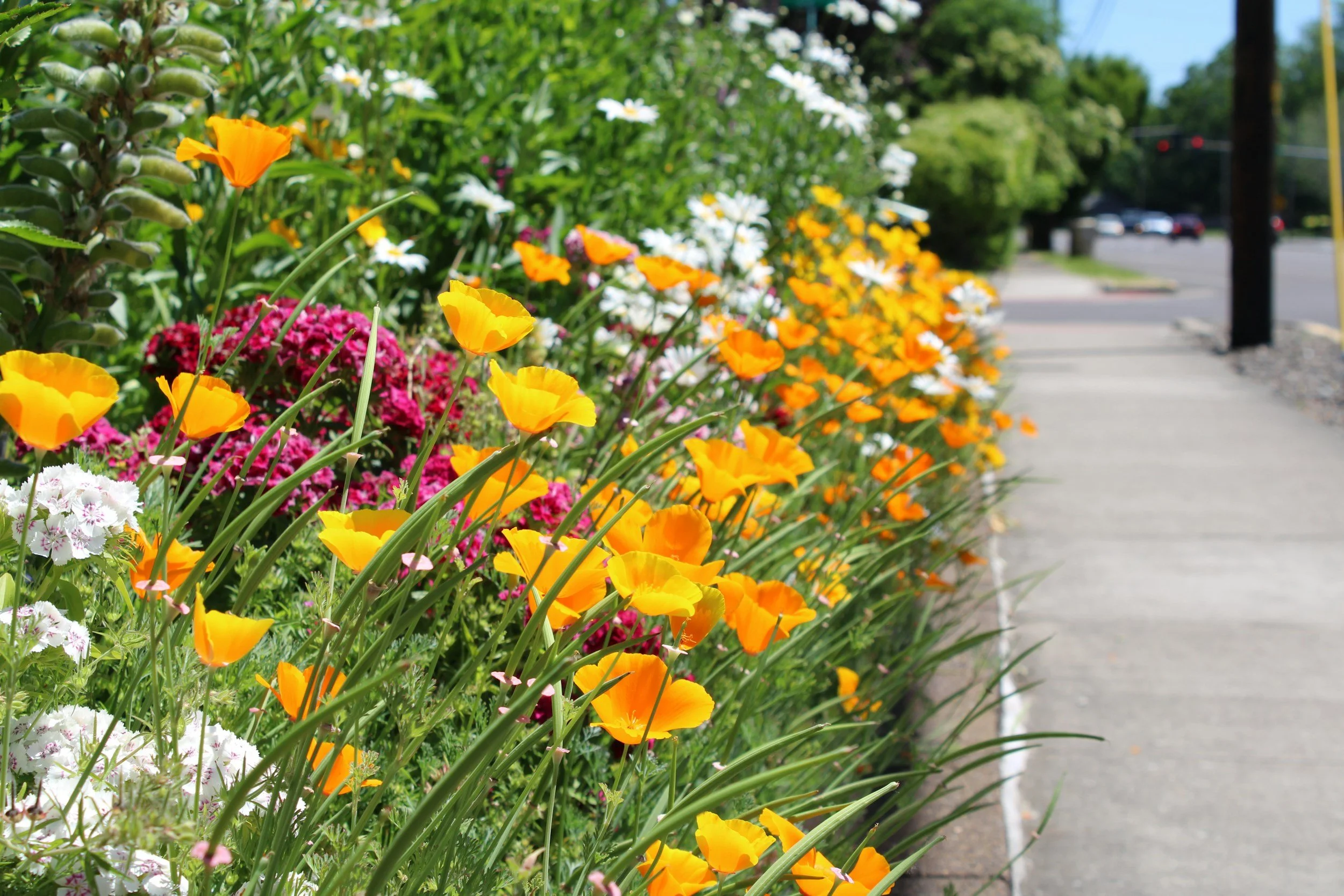 Mercado La Paloma Garden Tour