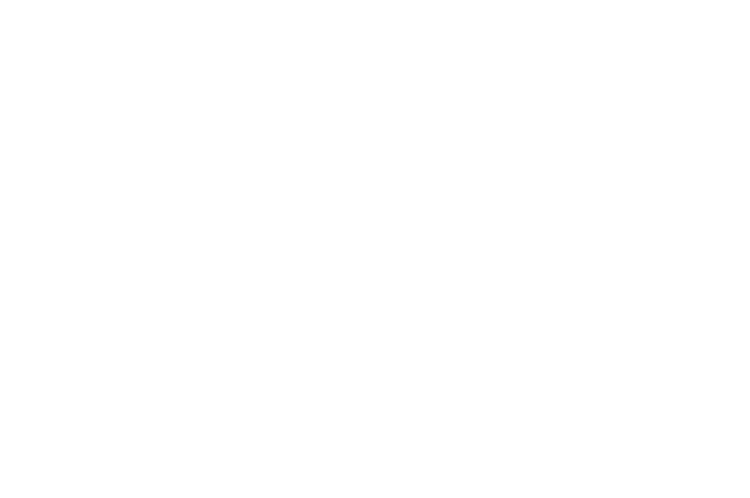 Flickerfest 2020 - Official Selection laurels (white).png