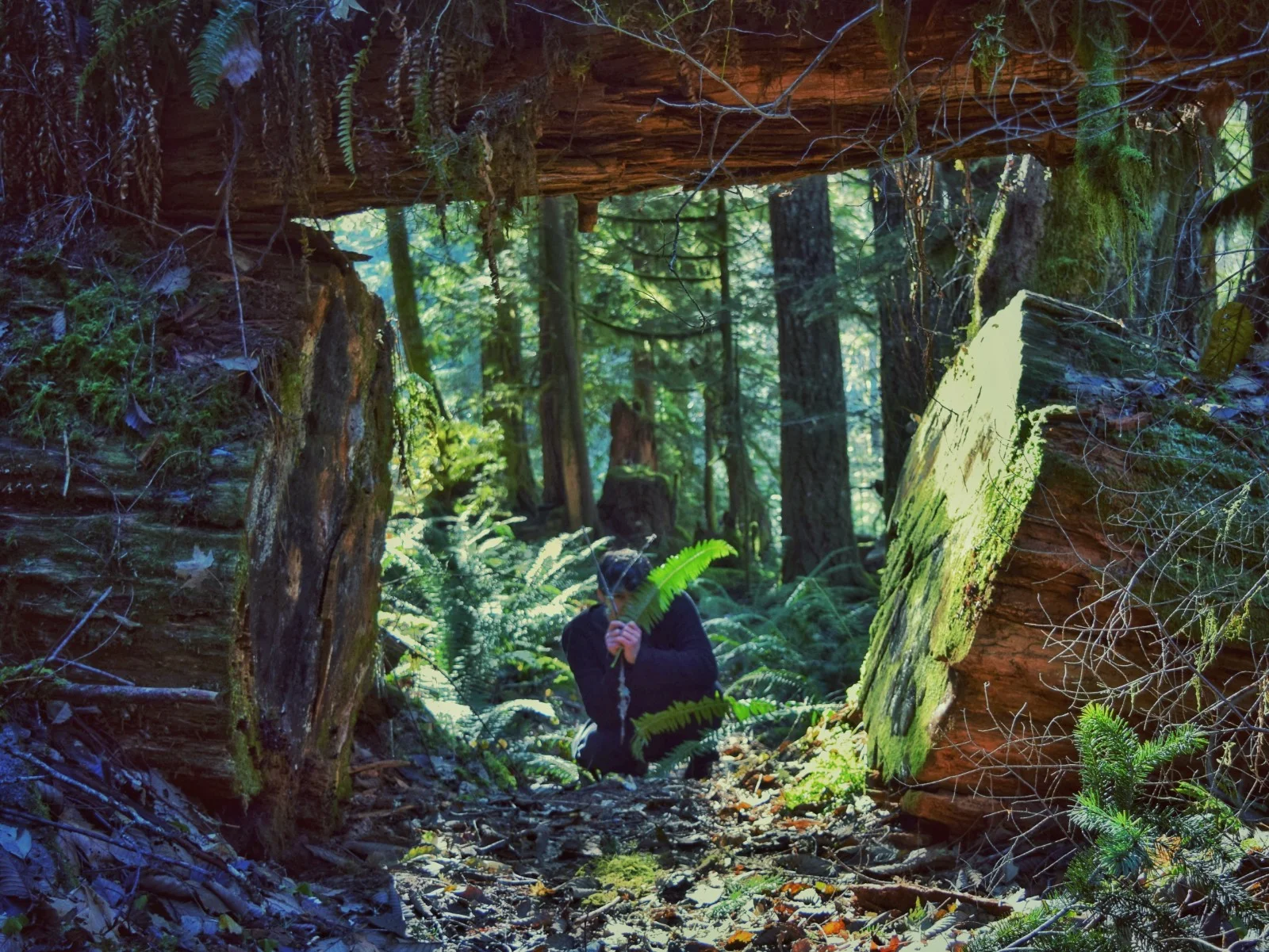 Photos by @grdnchn on Instagram