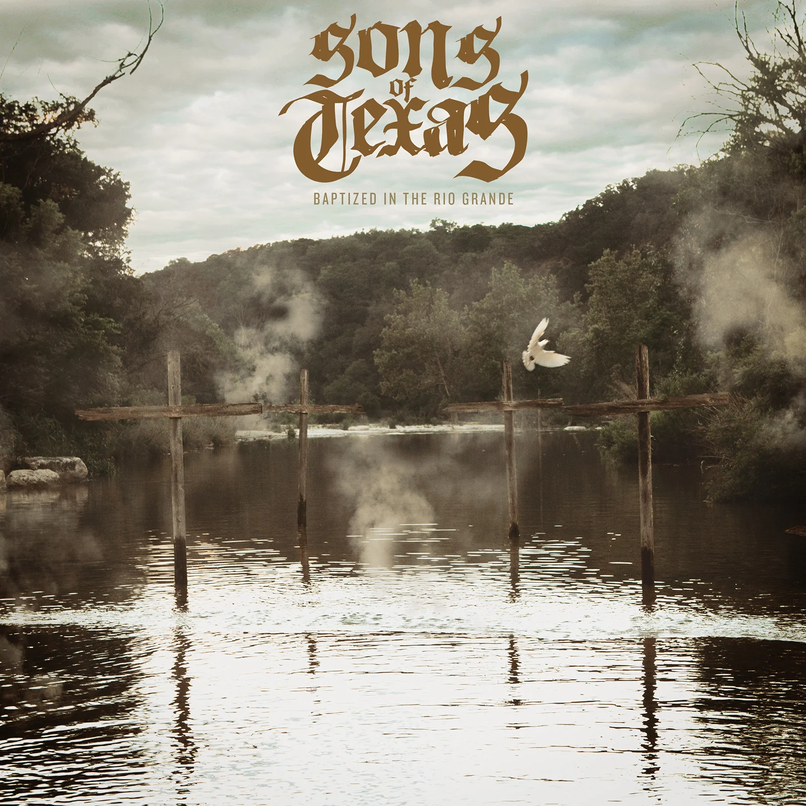 5fcbbe9a7e2421d1-Sons_cover-art_web.jpg