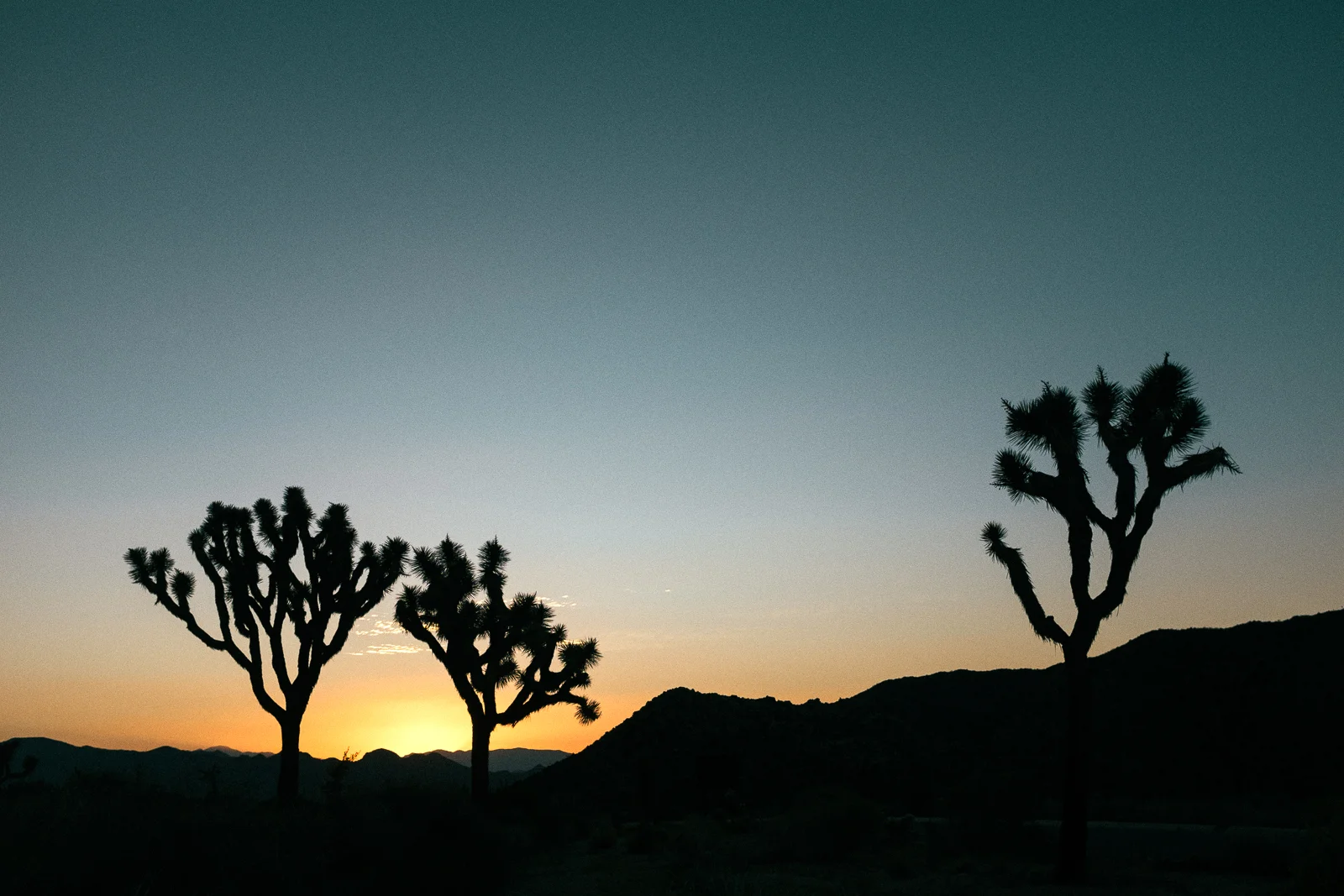 Joshua Tree, CA