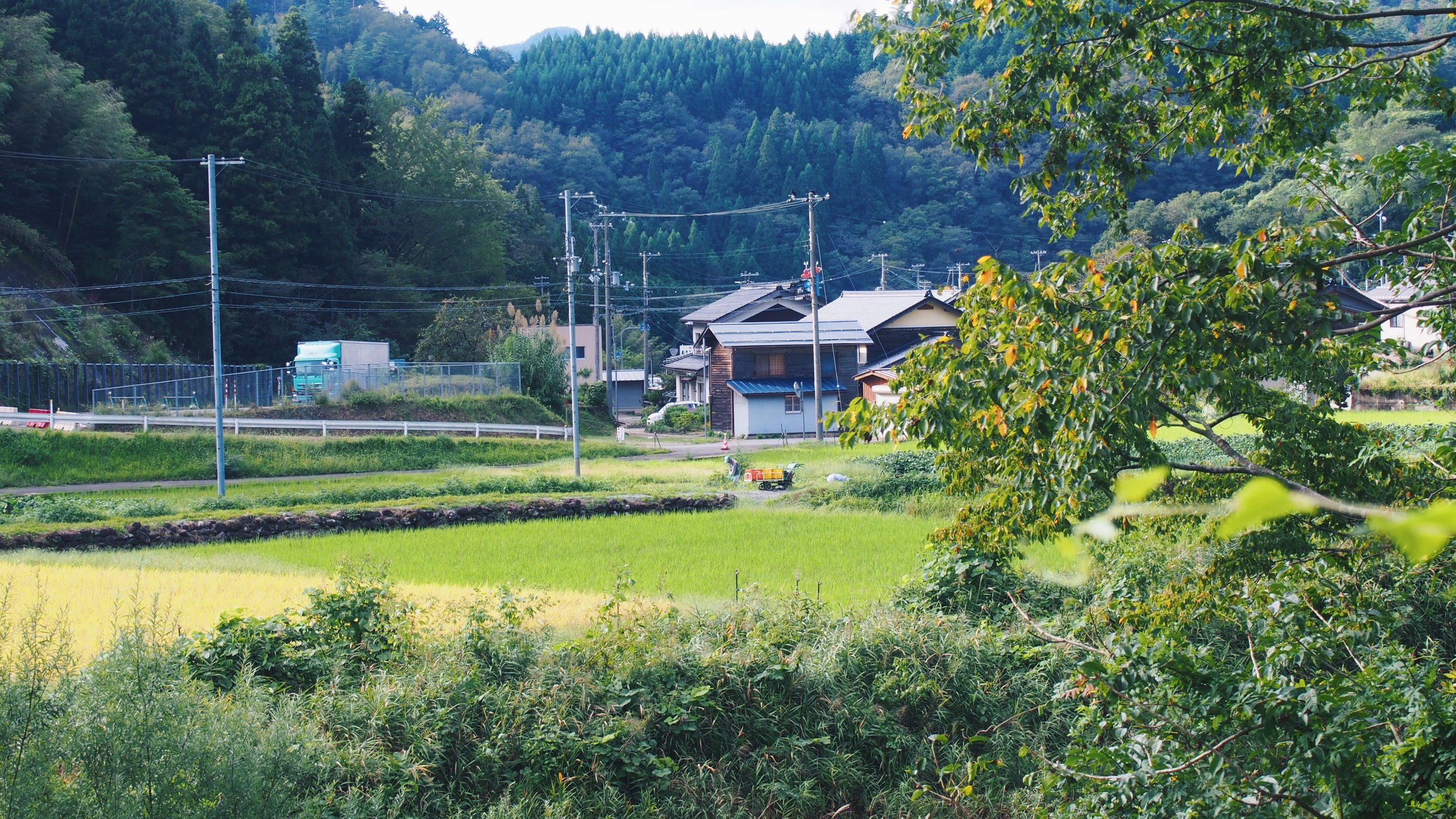 Japanese countryside, green field, jet program