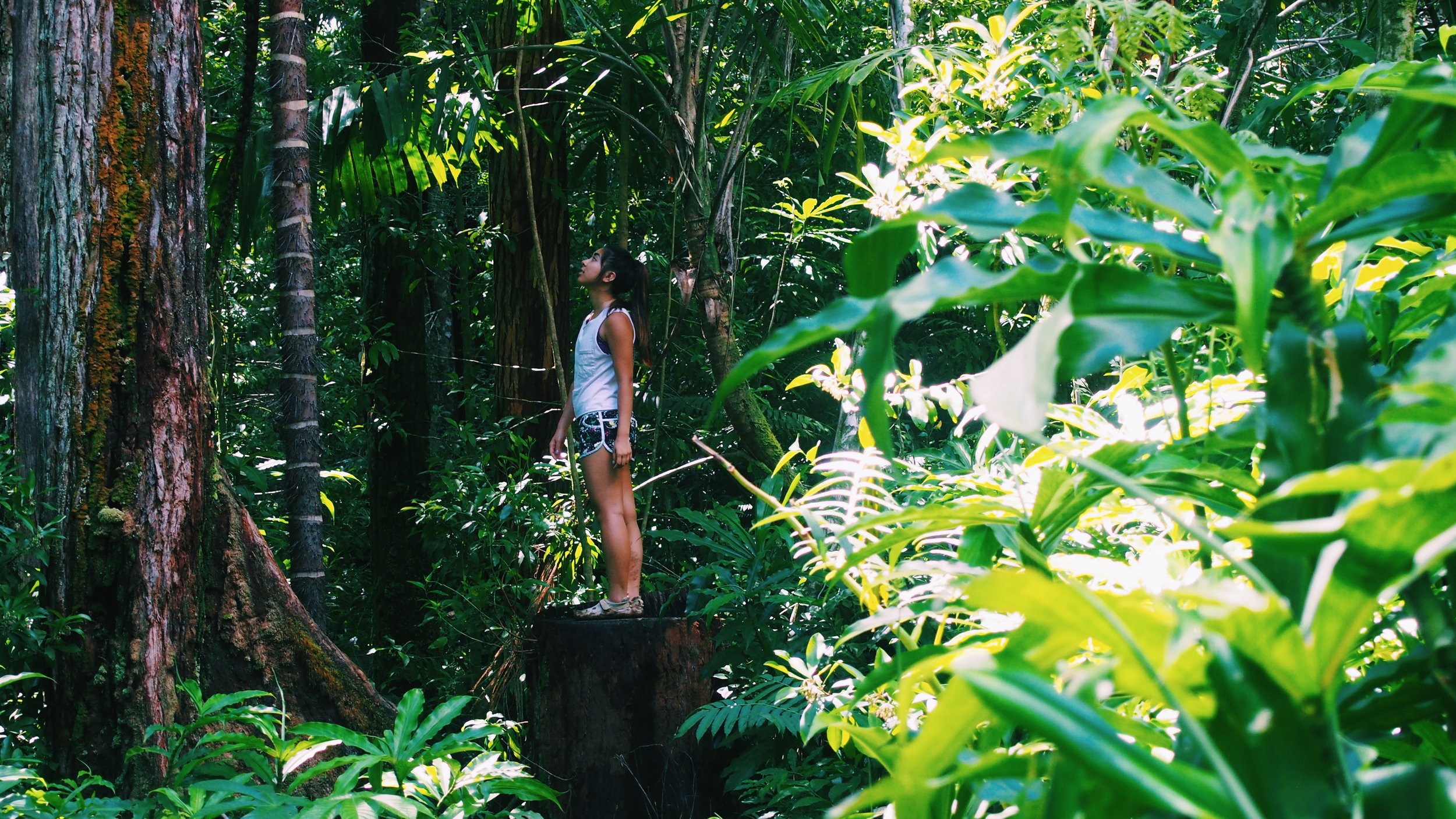 girl in a tropical rainforest in hawaii