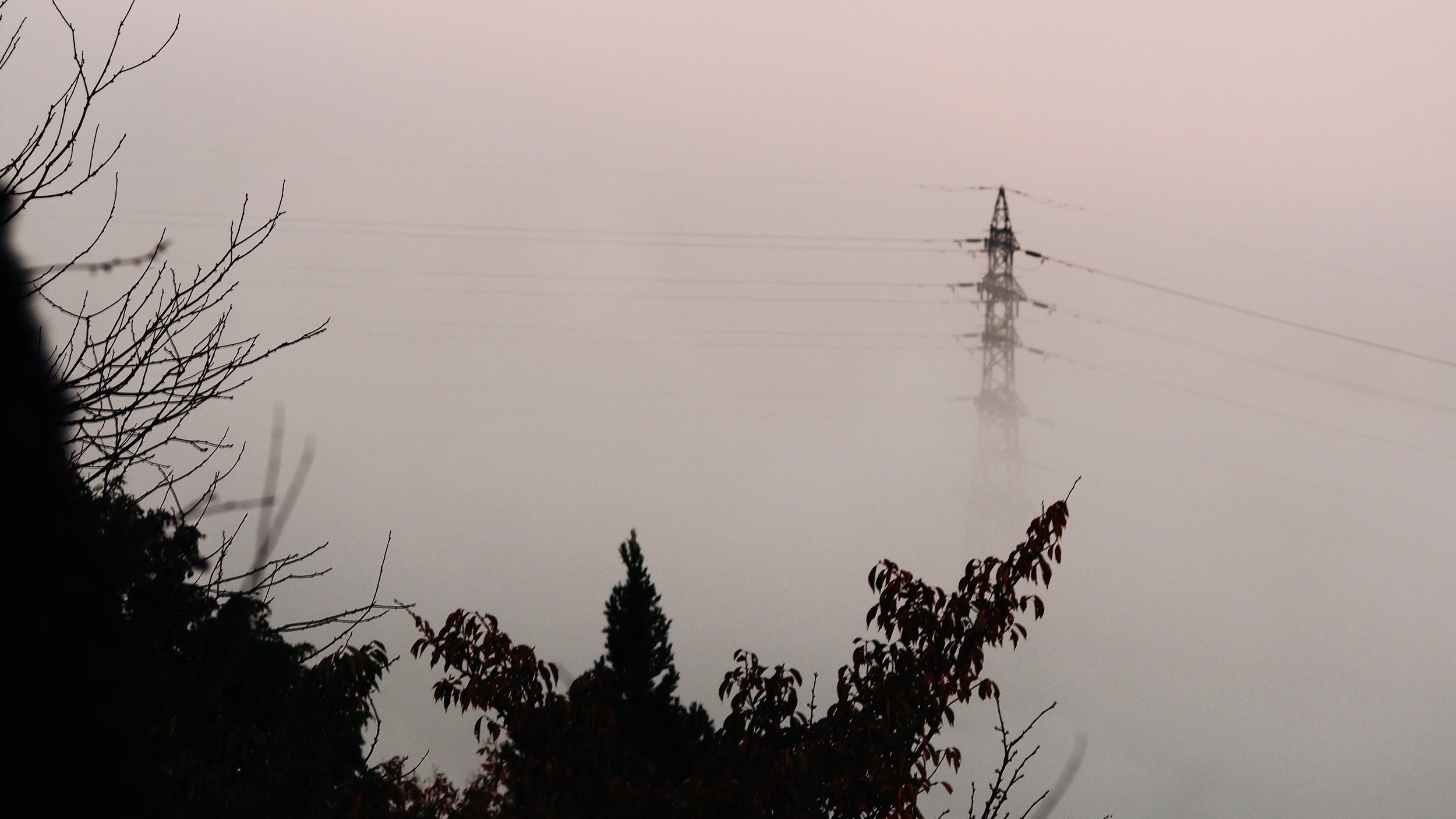 An electric pole peeking out through the morning mist