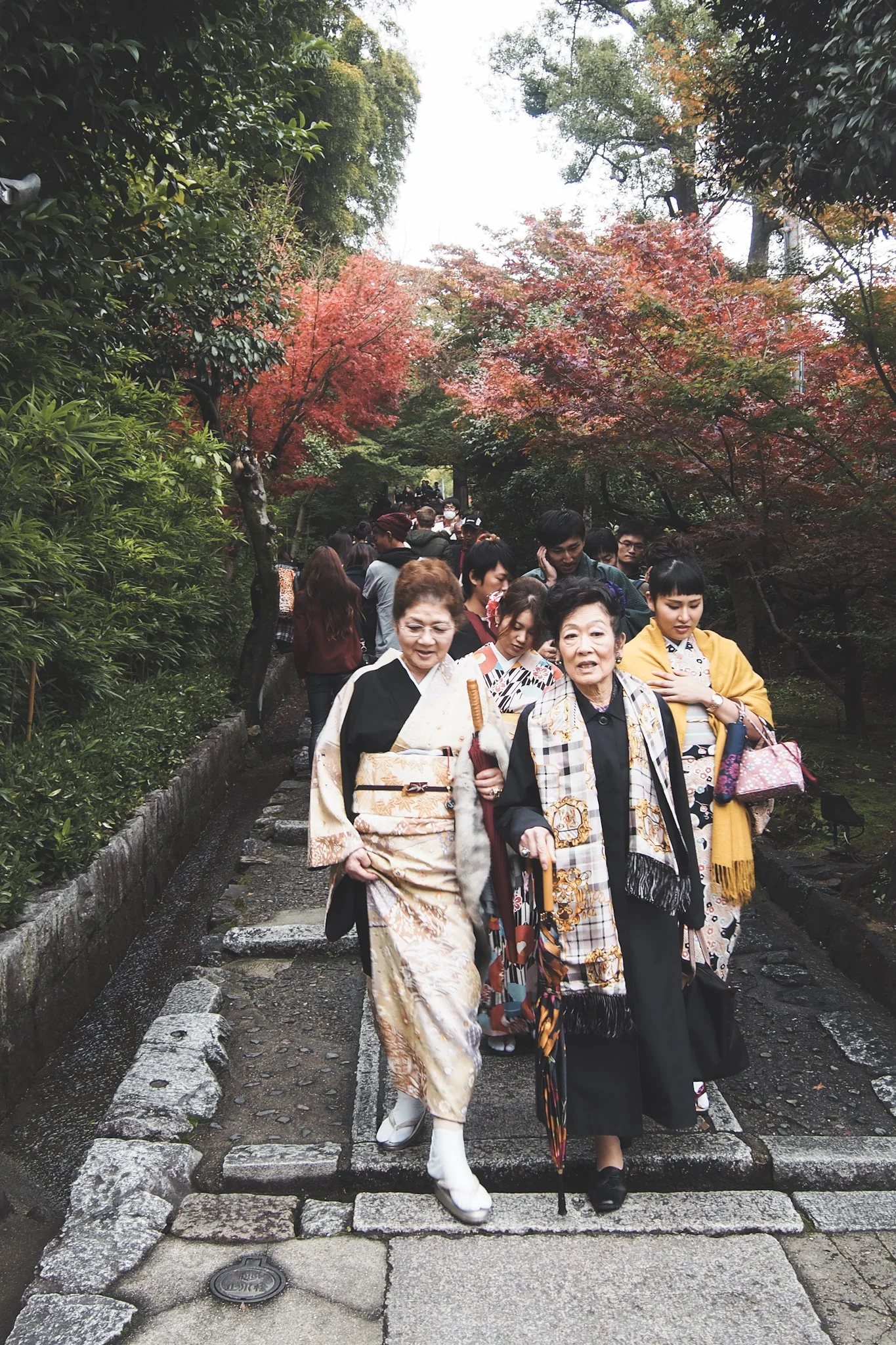 Japanese women in traditional Kimono in kyoto during the fall