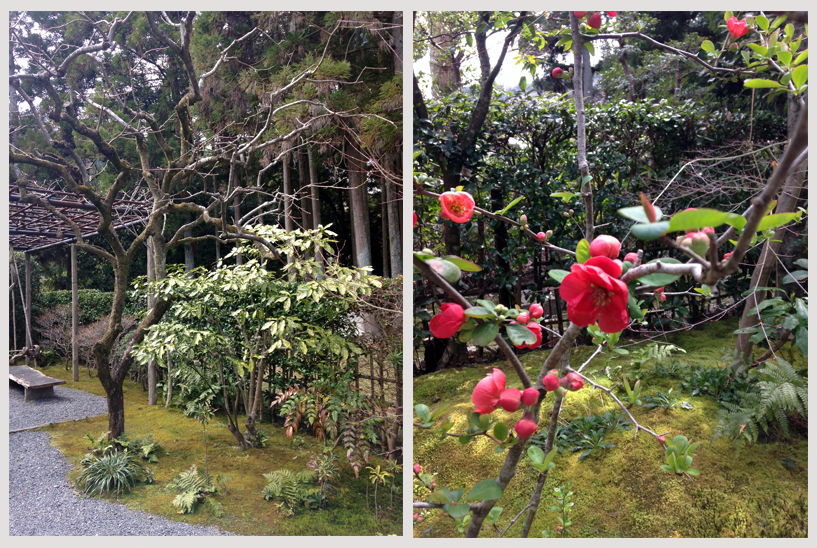 Ain't no persimmons on these trees right now, but those sure are some pretty flowers. Whoever Kyorai is, he had a really nice home and garden.