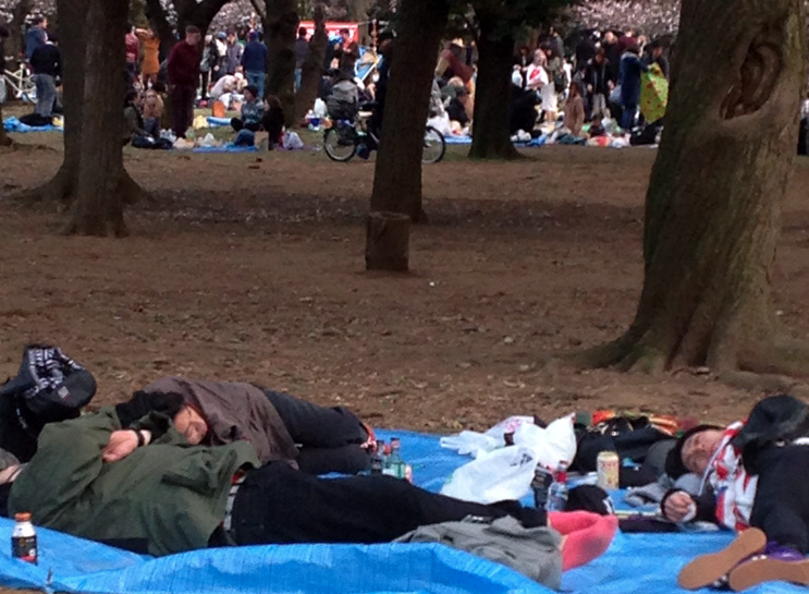 Just a typical scene of hanami . Note the man in the right who tried so hard to keep his shoes off the mat. Next time, buddy.