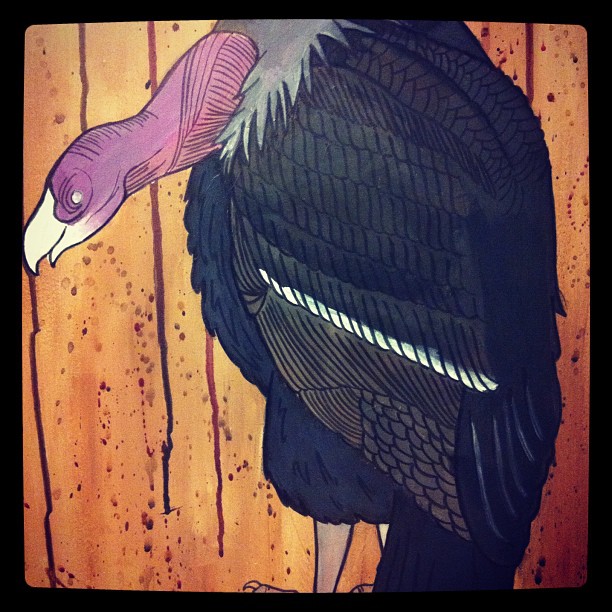 Vulture01.jpg