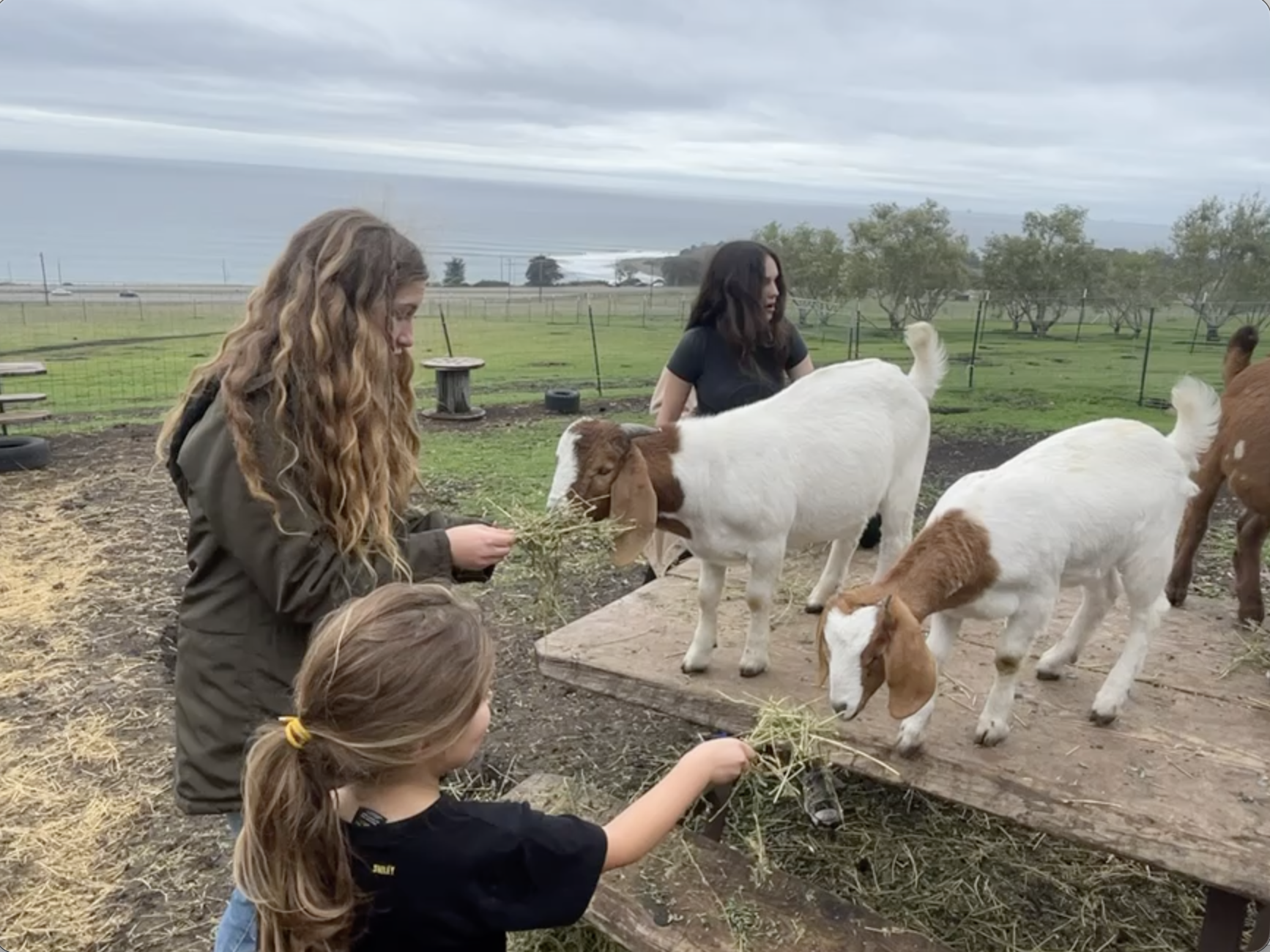 Screenshot 2026-03-13 at 1.59.29 PM.png