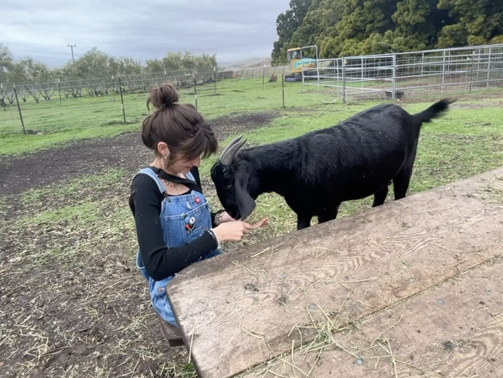 Screenshot 2026-03-13 at 2.00.38 PM.png