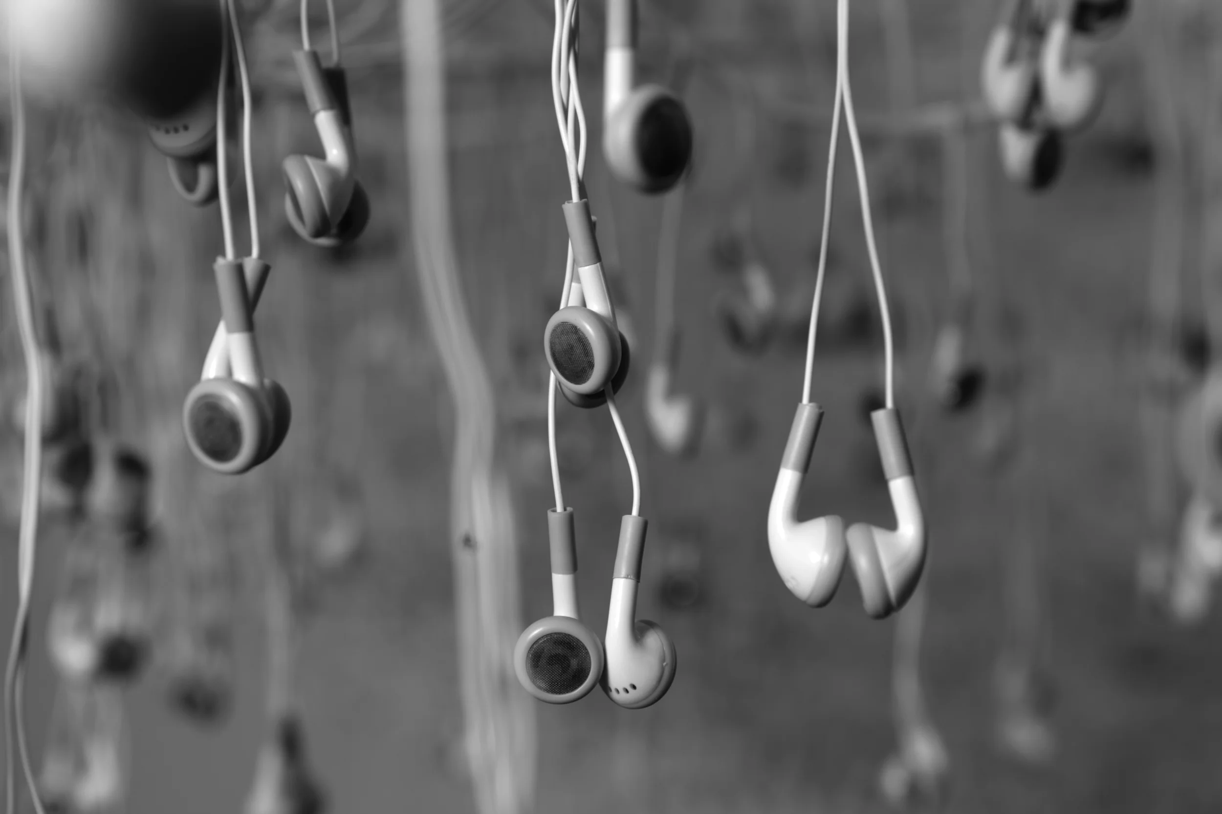  Photo by Eldad Refaeli 