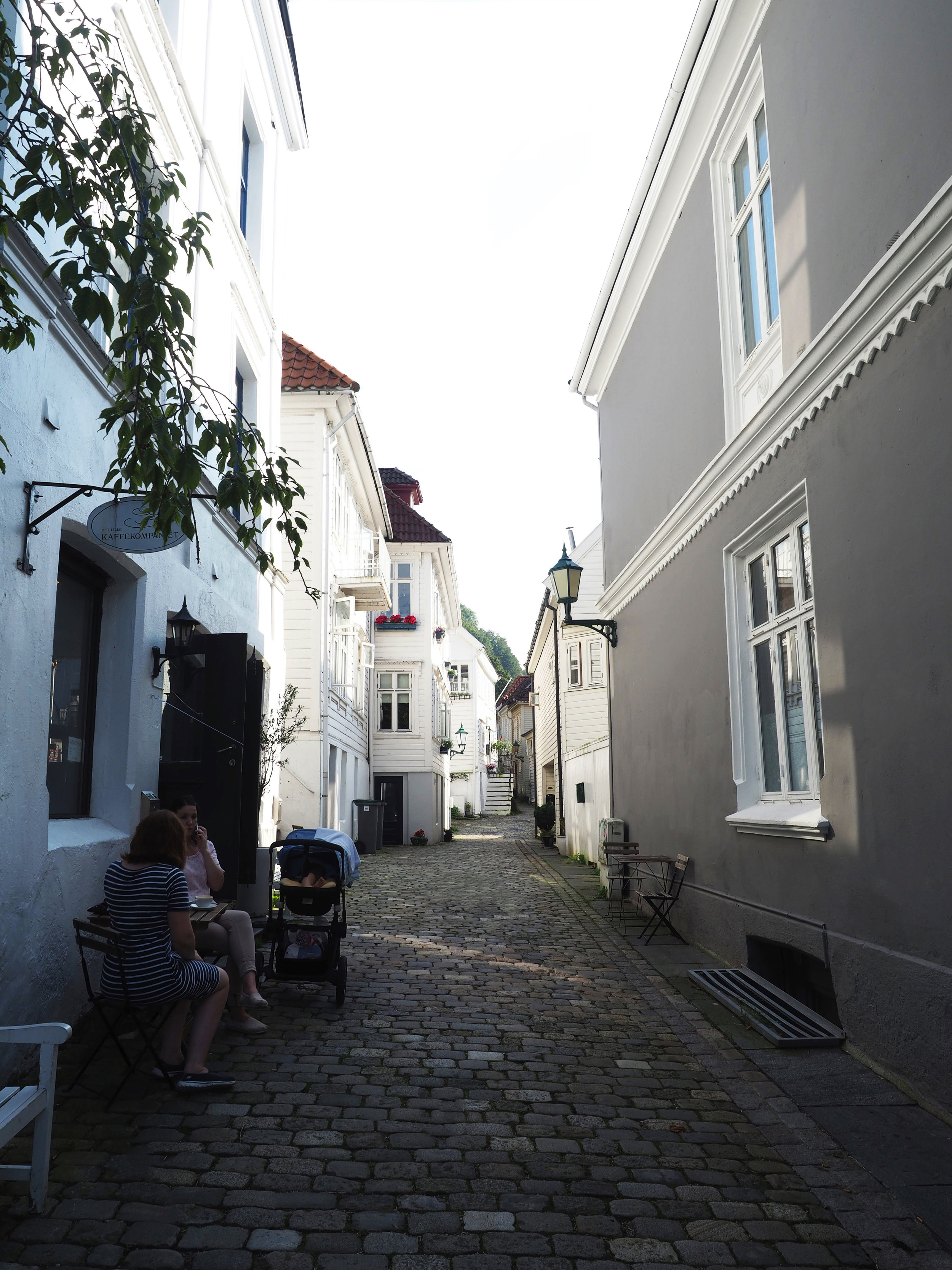 Bergen4-1small1-1-1.jpg