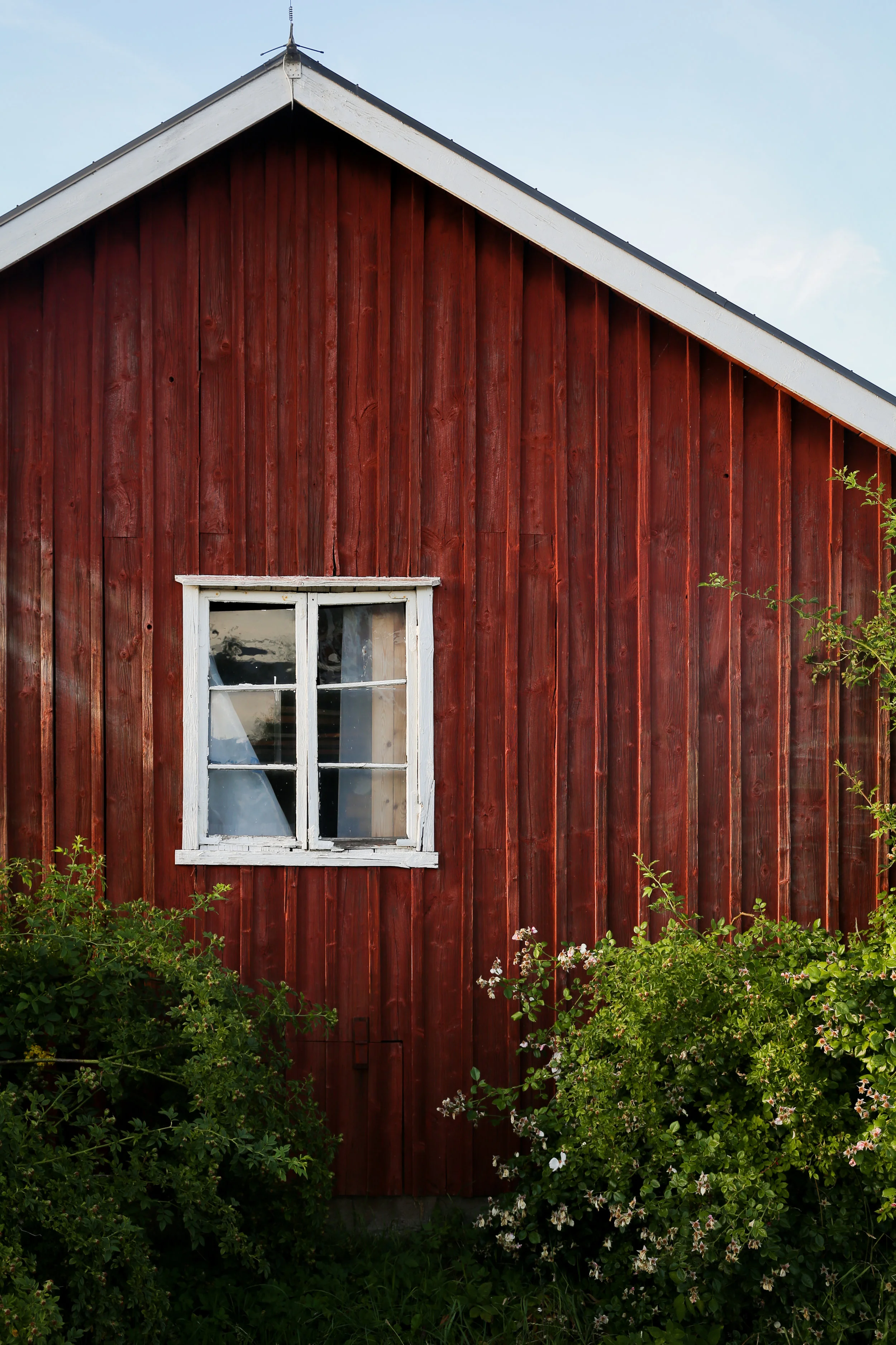 Kivik11-2.jpg