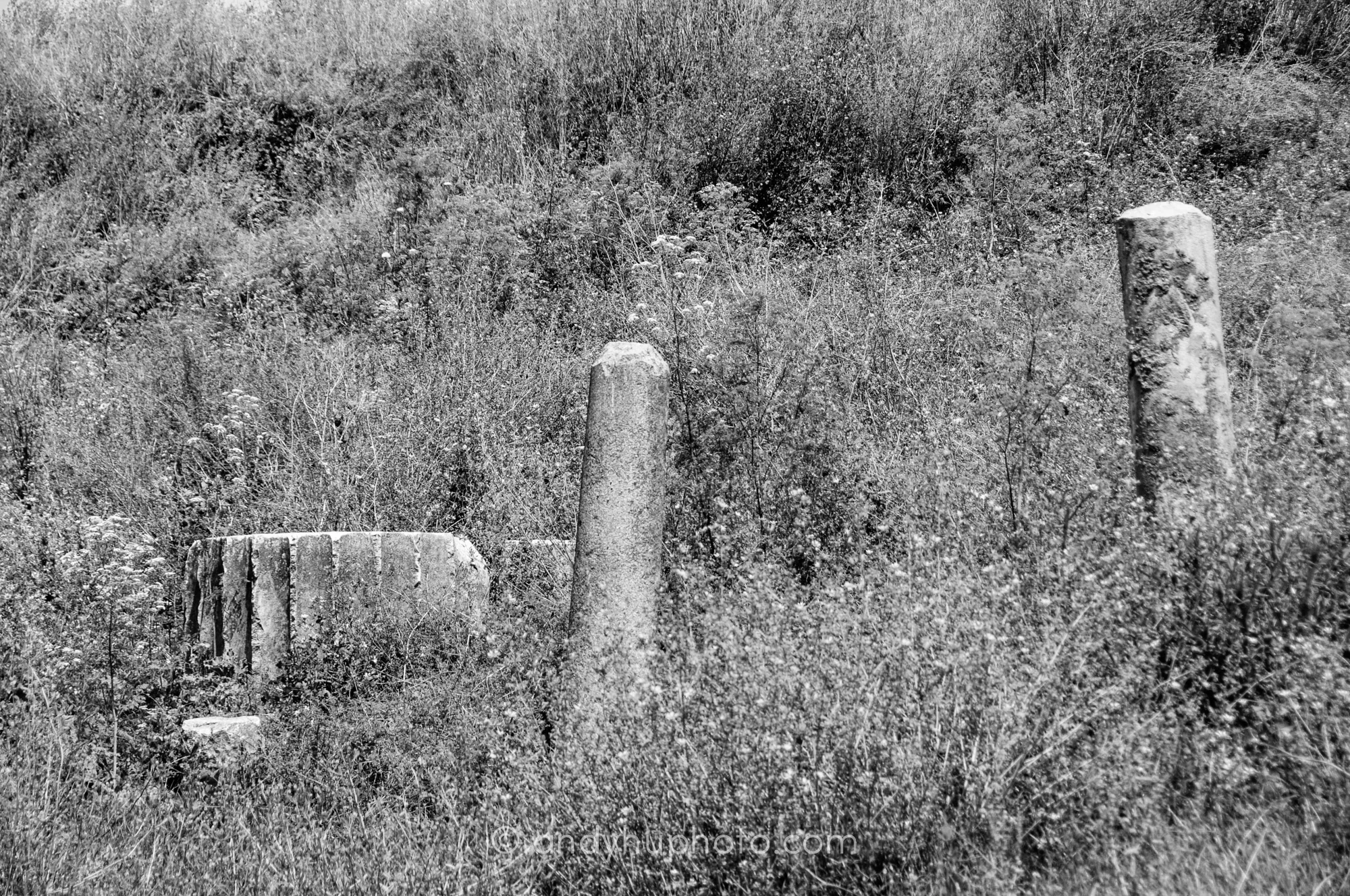 The Temple of Artemis