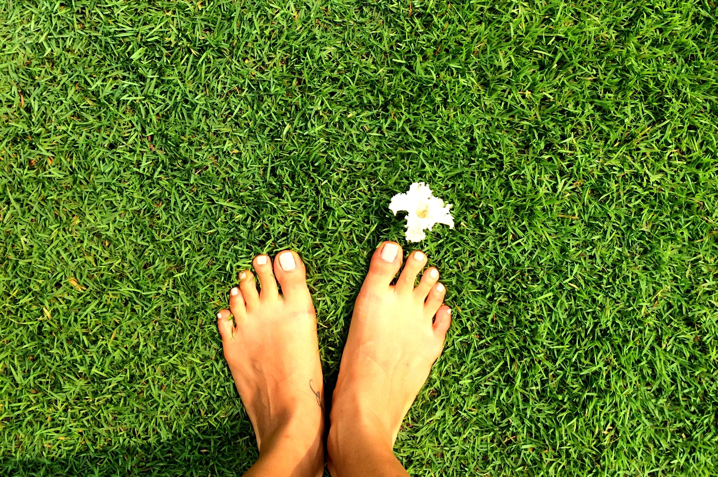 The Pearl of Our Life: a Story about Pain, Beauty, and Art