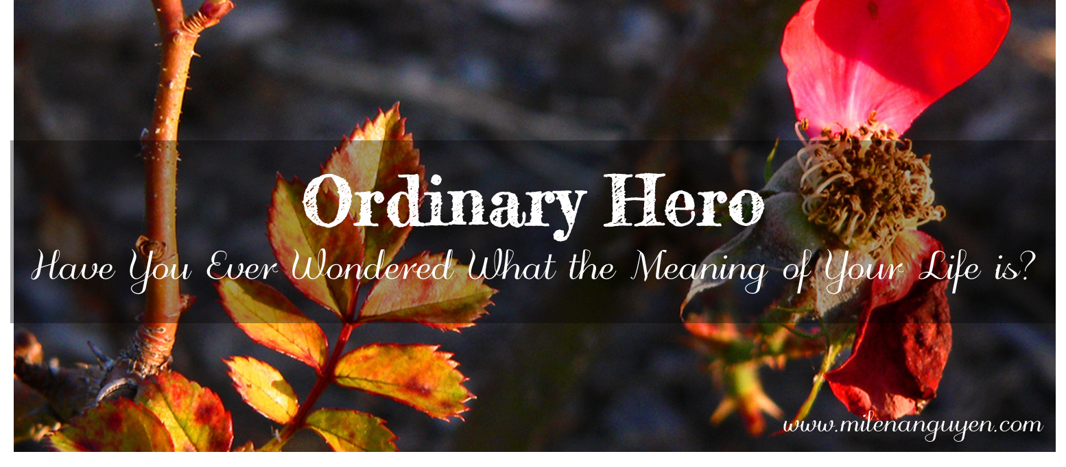 ordinary-hero.png