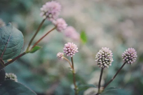 Cleaning Mirror in Strange Land: How Does it Feel to be Yourself – pt. 1