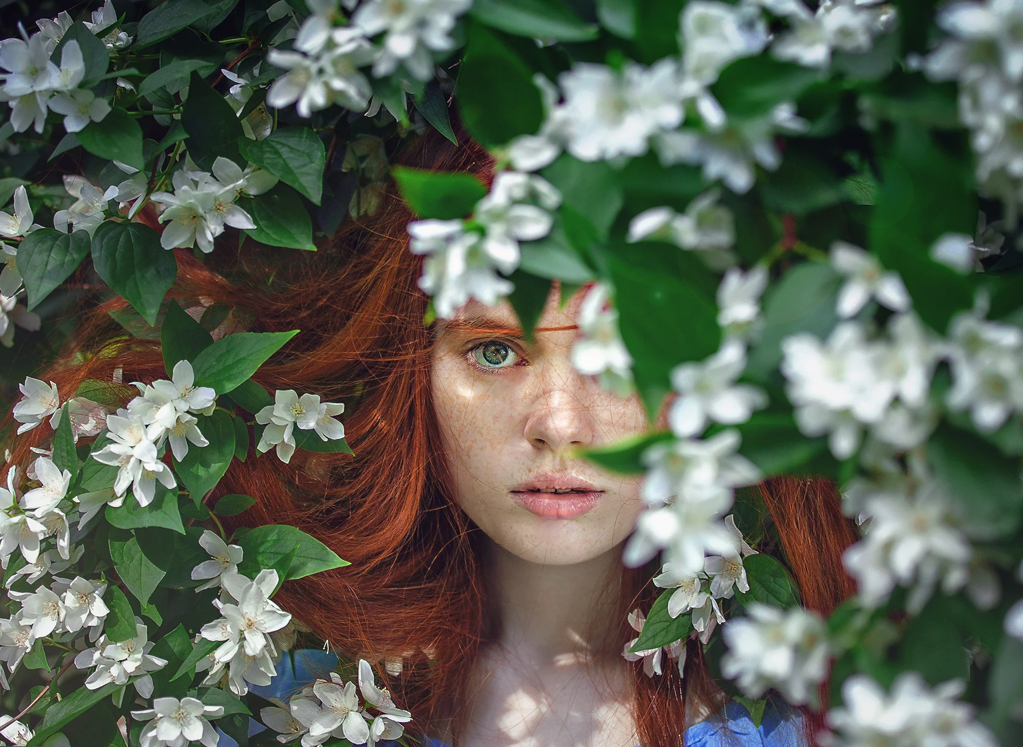 woman face green tree eyes secrets.jpeg