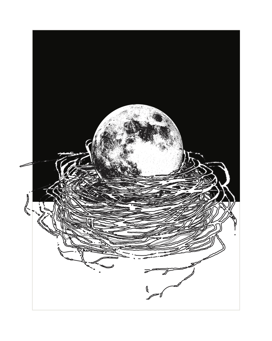 Moon Series_nest.jpg