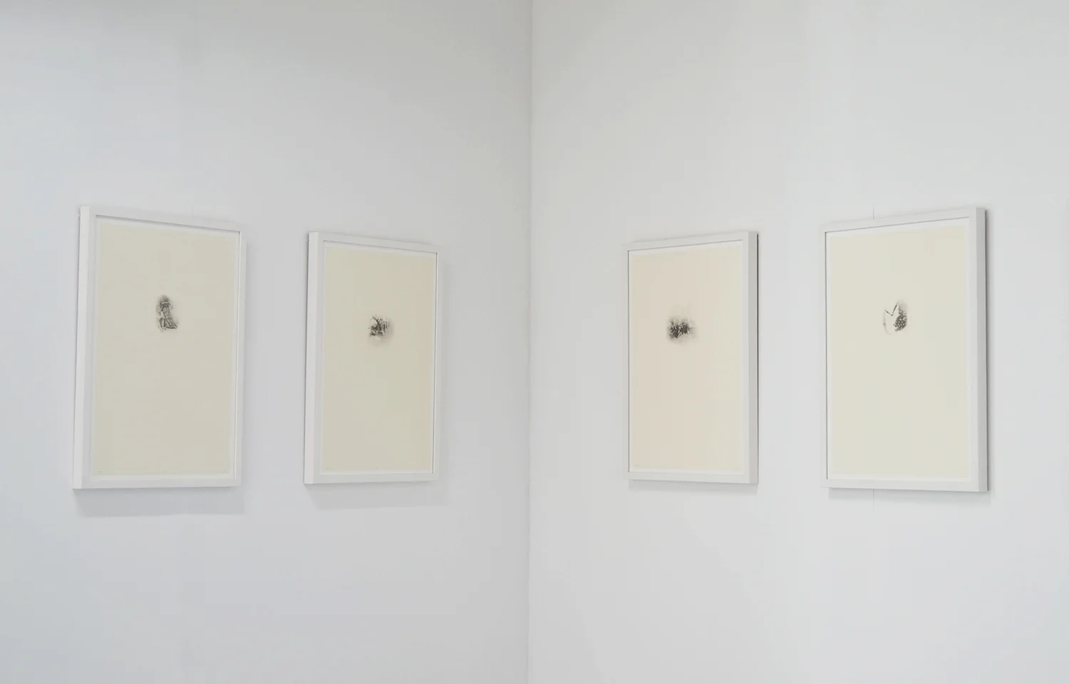 Shadow series_2.jpg
