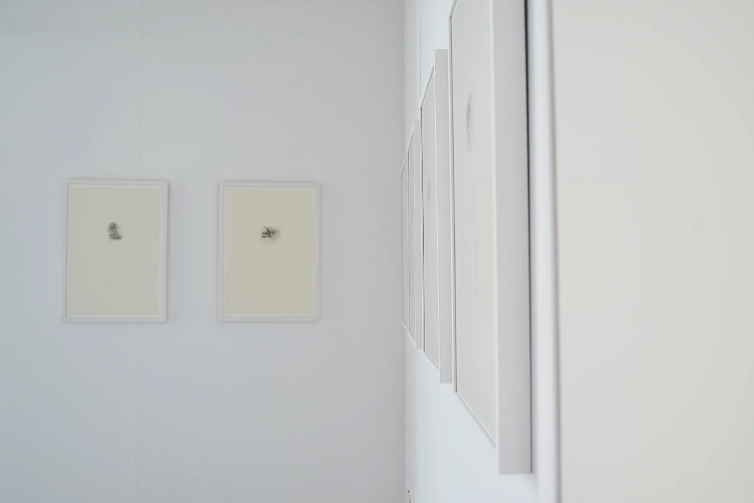 Shadow series_9.jpg