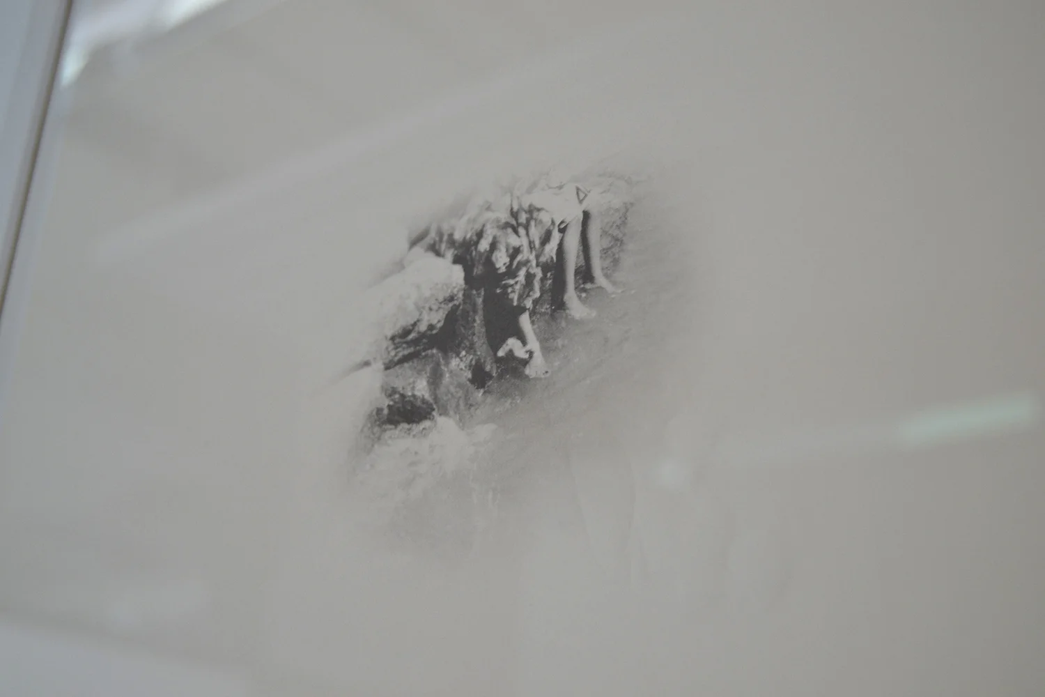 Shadow series_10.jpg