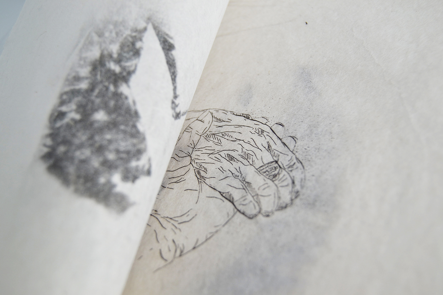 SN_HHWM BOOK_6.jpg