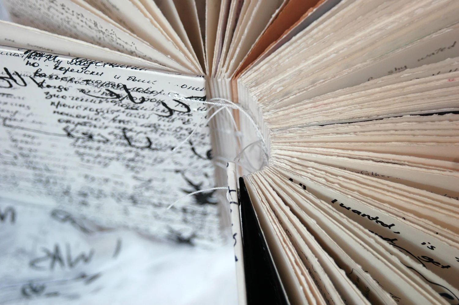 Book_details 1_website.jpg