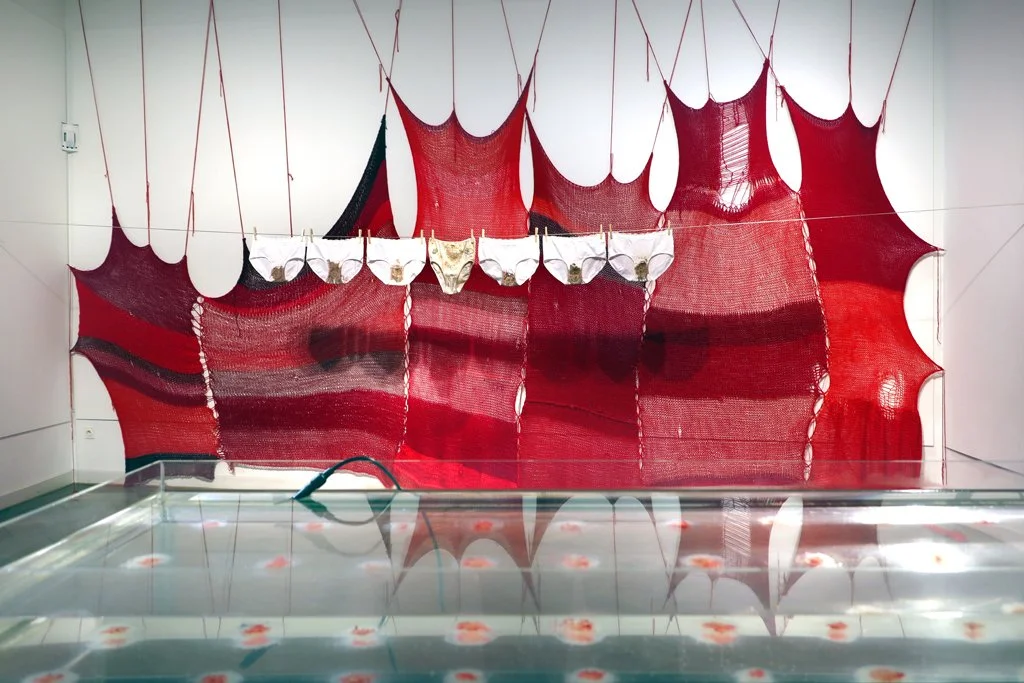 Photo by: Nihad Nino Pusija