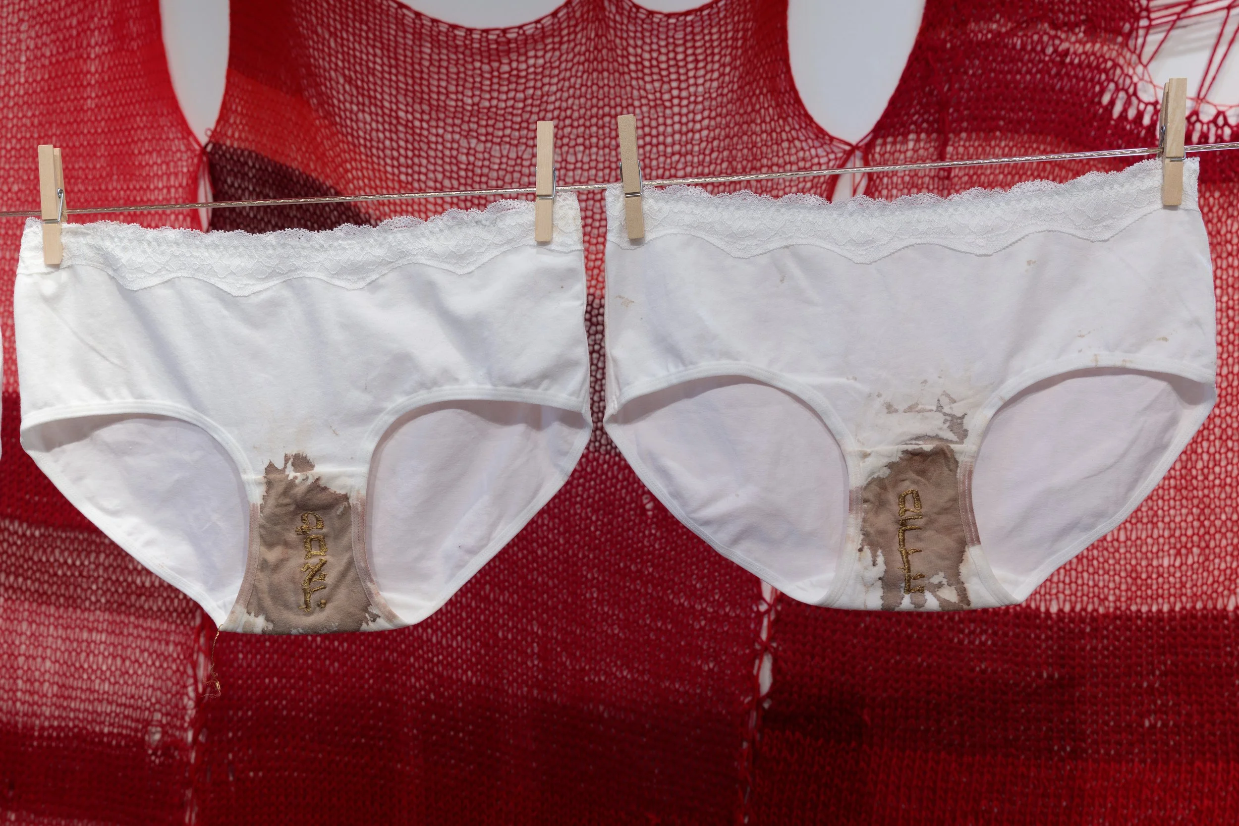 Photo by: Benjamin Renter