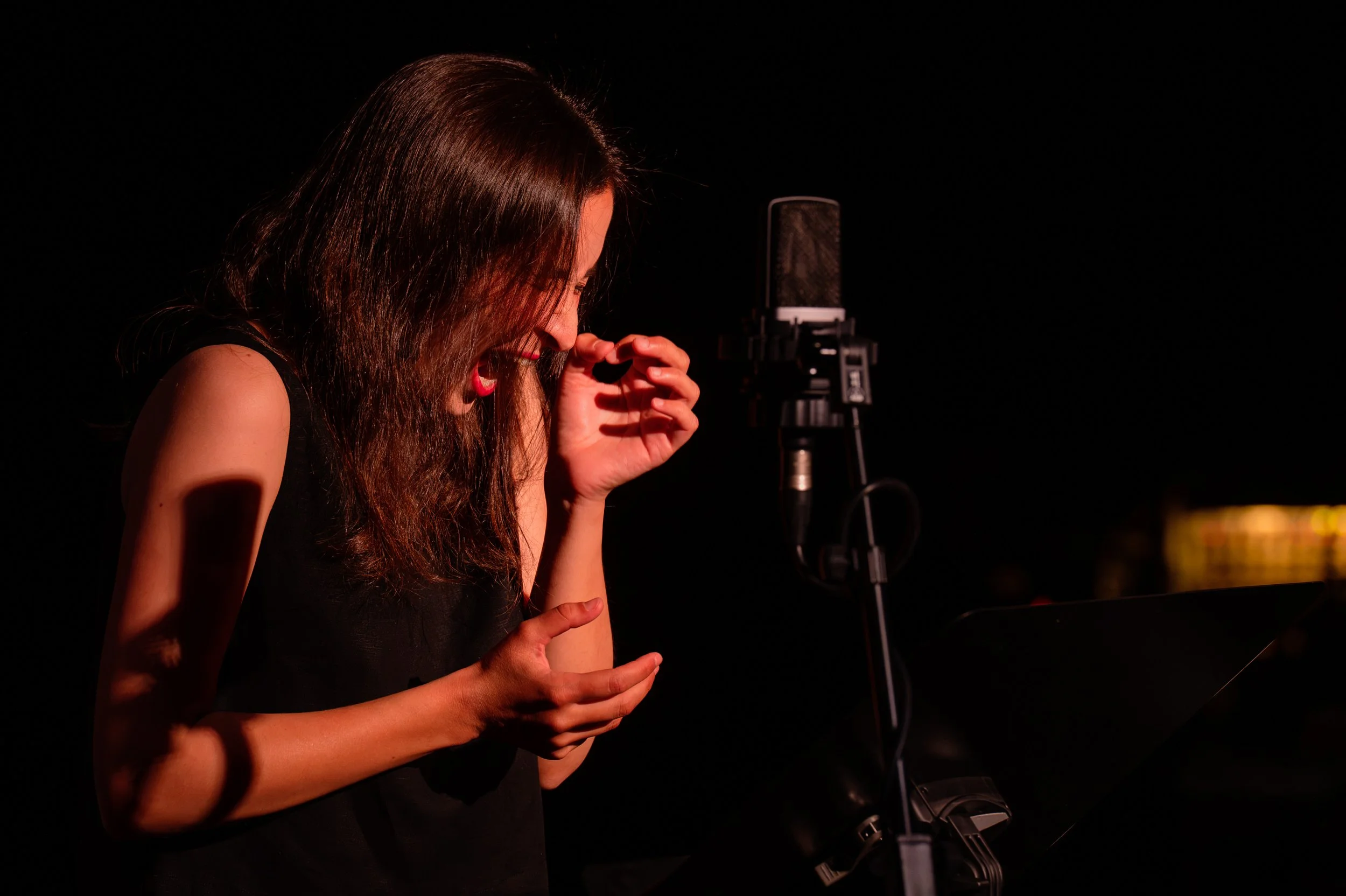TRIPTYCHON with Ensemble Musikfabrik at Klangspuren