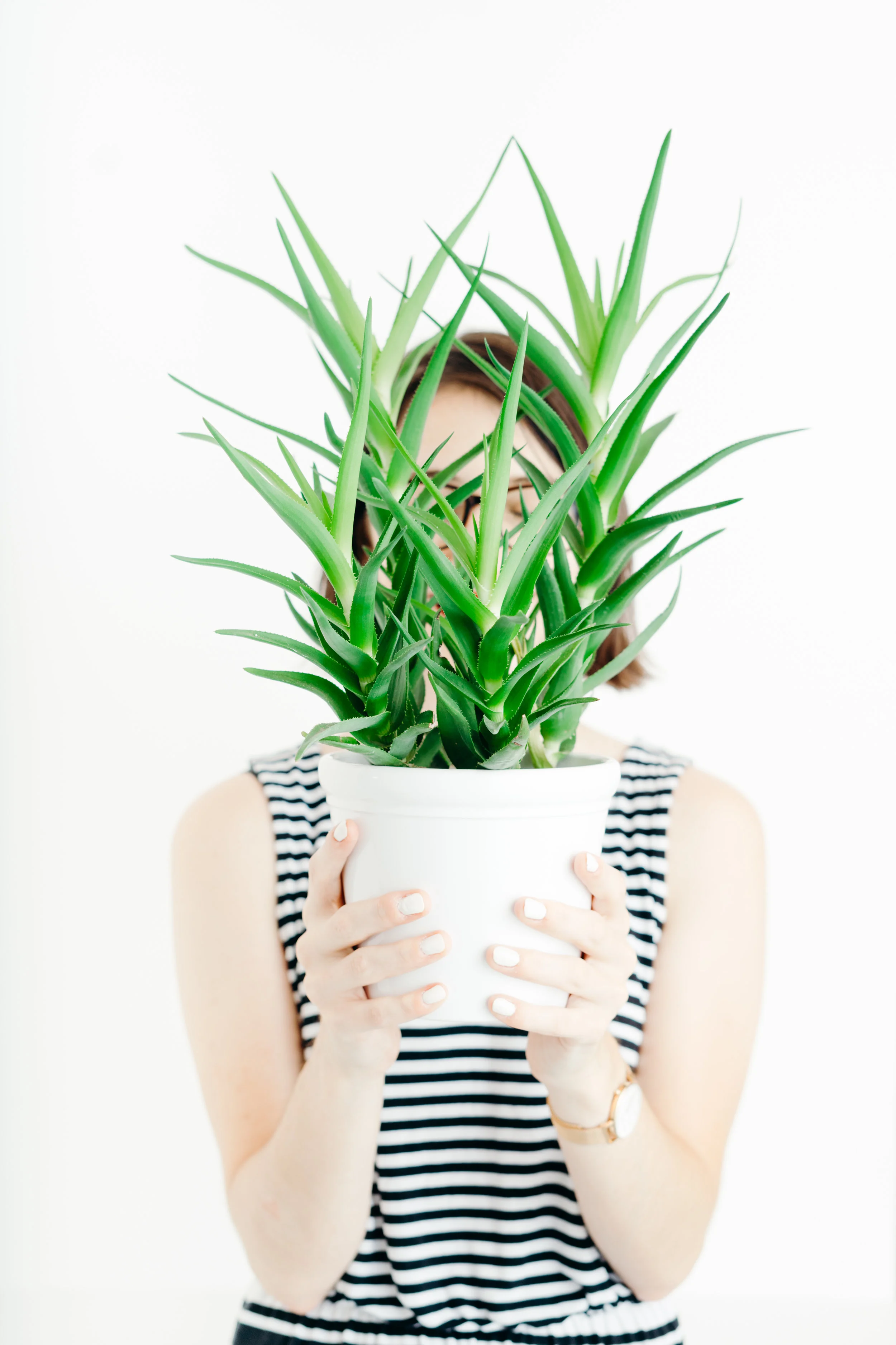 httw_2018QC3_Plants-23.jpg